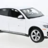BMW X6, weiss, 1:24, Rastar