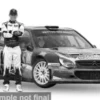 Citroen Xsara, Gymkhana, 2016, #11, P.Solberg, 1:18, Sun Star