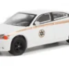 Dodge Charger Pursuit, 2011, Absaroka County Sheriff, 1:64, Greenlight