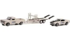 Ford F-100, 1969, Pete Peterson, 1:64, Greenlight