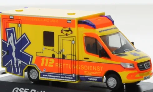GSF RTW, 2018, Rettungsambulanz Greiz, 1:87, Rietze