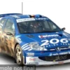 Peugeot 206 WRC, Rallye du Condroz, 2003, #2, F.Loix/S.Smeets, 1:18, Sun Star